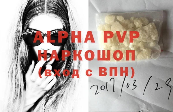 СК Абаза