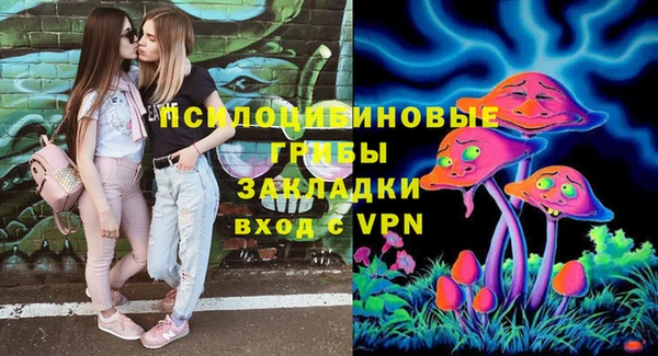 Альфа ПВП Михайловск